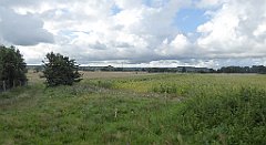 0296_TZ60_P1140088_cr