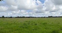 0306_TZ60_P1140092_cr