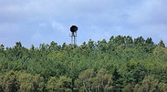 0503_TZ60_P1140139_cr