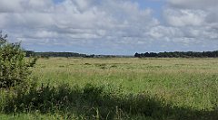 0525_TZ60_P1140149_cr