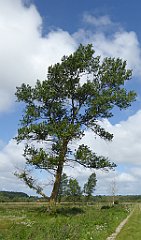 0527_TZ60_P1140151_cr