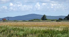 0546_TZ60_P1140170_cr