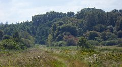 0548_TZ60_P1140172_cr