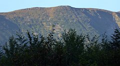 0012_TZ60_P1140209_cr