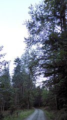 0033_TZ60_P1140228_cr