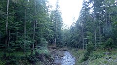 0034_TZ60_P1140229_cr