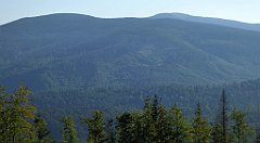 0100_TZ60_P1140273_cr