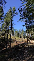 0107_TZ60_P1140278_cr