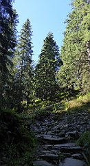 0136_TZ60_P1140291_cr