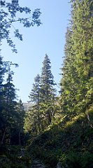 0142a_3D_P1110343_cr