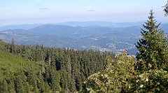 0167a_3D_P1110359_cr