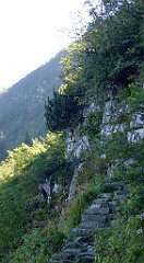 0190_TZ60_P1140322_cr