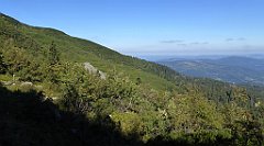 0195_TZ60_P1140327_cr