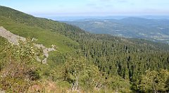 0226a_3D_P1110364_cr