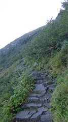 0234_TZ60_P1140367_cr