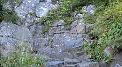 0236_TZ60_P1140369_cr