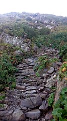 0254_IMG_20160826_101729_cr