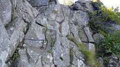 0275_TZ60_P1140400_cr