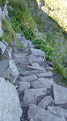 0278_TZ60_P1140403_cr