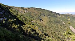 0287_TZ60_P1140408_cr