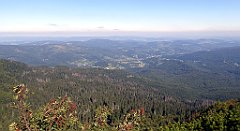 0293_TZ60_P1140414_cr