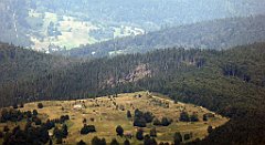 0452_TZ60_P1140529_cr