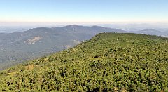 0535_TZ60_P1140531_cr