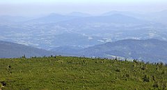 0542_TZ60_P1140539_cr