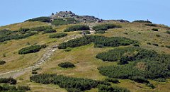 0546_TZ60_P1140543_cr