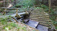 0619_TZ60_P1140577_cr