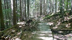 0626a_3D_P1110570_cr