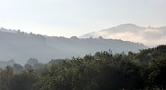 033_TZ60_P1140602_cr