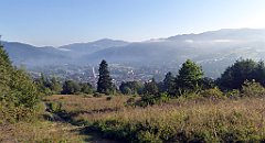 040_TZ60_P1140610_cr