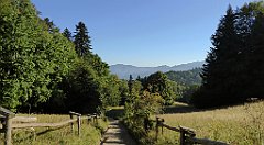 074_TZ60_P1140624_cr