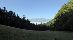 079_TZ60_P1140629_cr