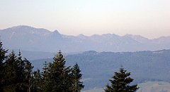 108_TZ60_P1140657_cr