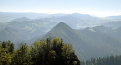 189_TZ60_P1140718_cr