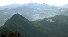 194_TZ60_P1140723_cr