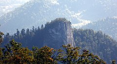 195_TZ60_P1140724_cr