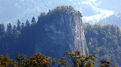 196_TZ60_P1140725_cr