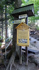 201_TZ60_P1140730_cr