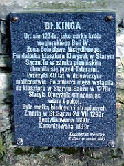 235_TZ60_P1140750_cr