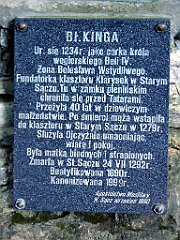 236_TZ60_P1140751_cr