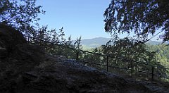 238_TZ60_P1140753_cr