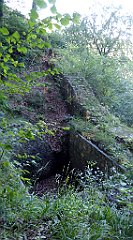 259_TZ60_P1140767_cr