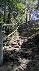 316_TZ60_P1140778_cr