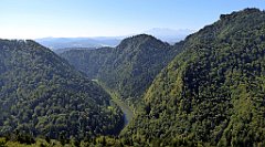 356_TZ60_P1140796_cr