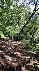 362_TZ60_P1140798_cr