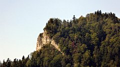 406_TZ60_P1140802_cr