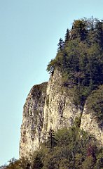 408_TZ60_P1140804_cr